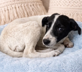 Screenshot 2026-04-13 130011_edited.png