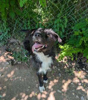 WhatsApp Bild 2025-10-07 um 11.09_edited.jpg