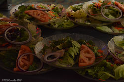 Military Ball Nov ATOC-181