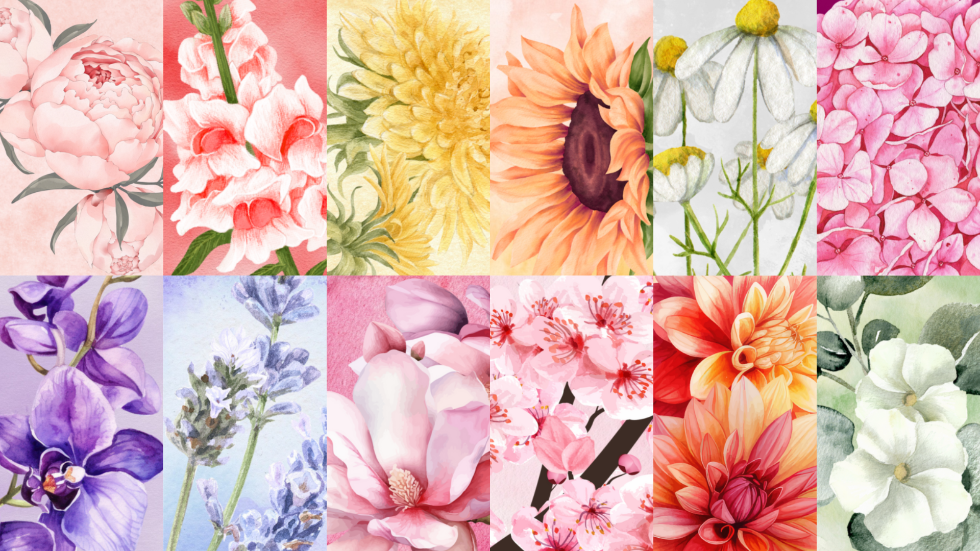 Writer: Blossom with Zara Team