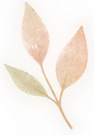 ChatGPT Image 2026年9月11日 07_26_51_edited_edited.png
