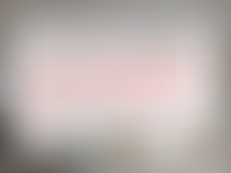 2025 Ended with the 30 Year Conventional Mortgage Rate at the Low Point for the Year | Northern Virginia Real Estate Market 