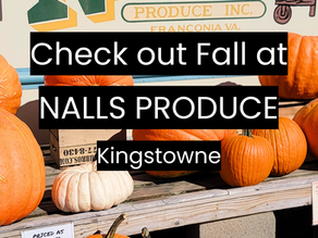 The Magic of Fall at Nalls Produce | Pumpkins & Fall Colors to Enjoy | Alexandria Farmers Markets