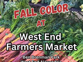 Fall Color at West End Farmers Market | Alexandria Farmers Markets | Sundays at Ben Brenman Park next to Cameron Station