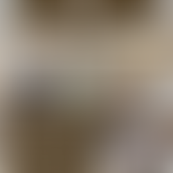 Mid-March 2026 Northern Virginia Real Estate Market Update | 2026 Looks Similar to 2025 as We Near Start of the 'Peak' Spring Market