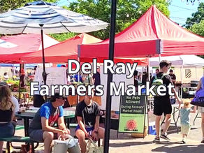 Alexandria Farmers Markets | A Saturday Morning at the Del Ray Farmers Market