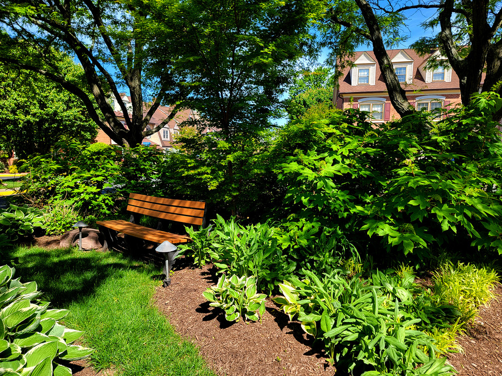 Chaucer View Pocket Park