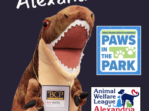 Thank You Alexandria!! | Paws in the Park 2024 was a Smashing Success | Alexandria Animal Shelter