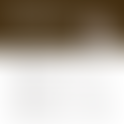 What's Going on with West End Alexandria Real Estate? - Housing Market Update for December 2024 | Northern Virginia Real Estate Market