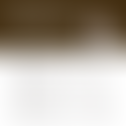 What's Going on with West End Alexandria Real Estate? - Housing Market Update for September 2024 | Northern Virginia Real Estate Market