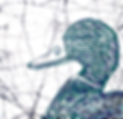 duck square.png
