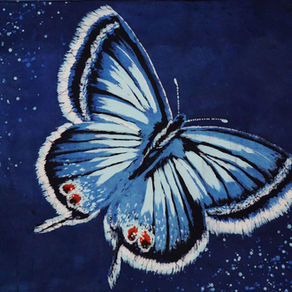 The Butterfly Trail Story (Ch.3~ The Eastern Blue & Red Spotted Purple)