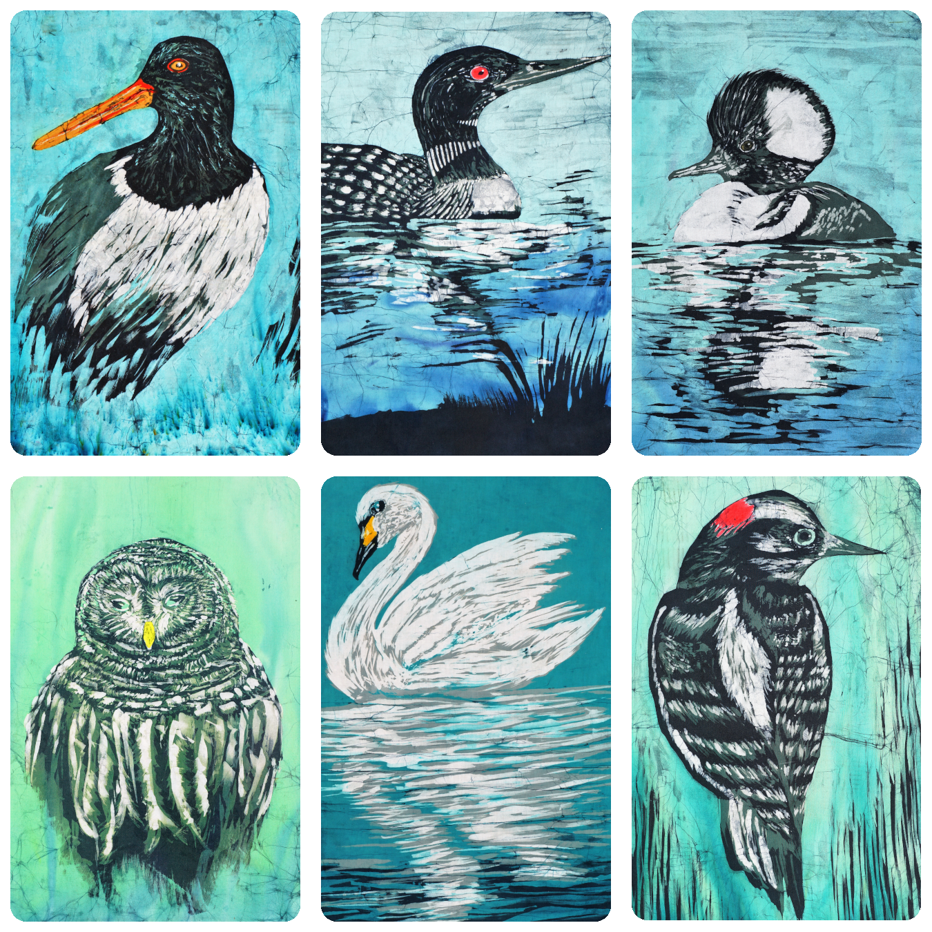 The Birds in Contrast Collection