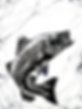 PXL_20240307_204127532~2.png