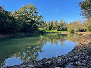 Lake restoration: A win for waterways and wetlands alike!