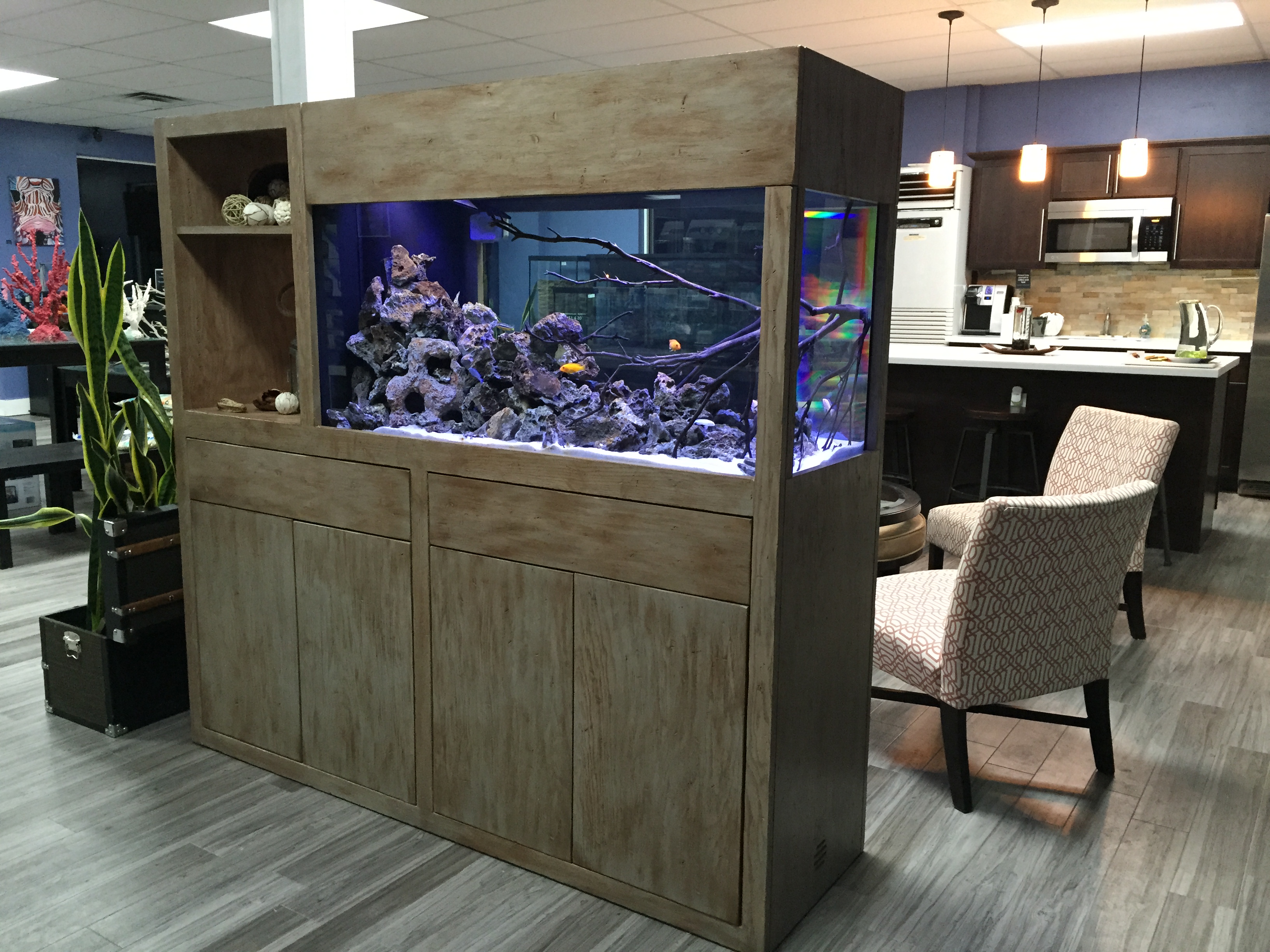 Aquarium Services United States Something Fishy, Inc.