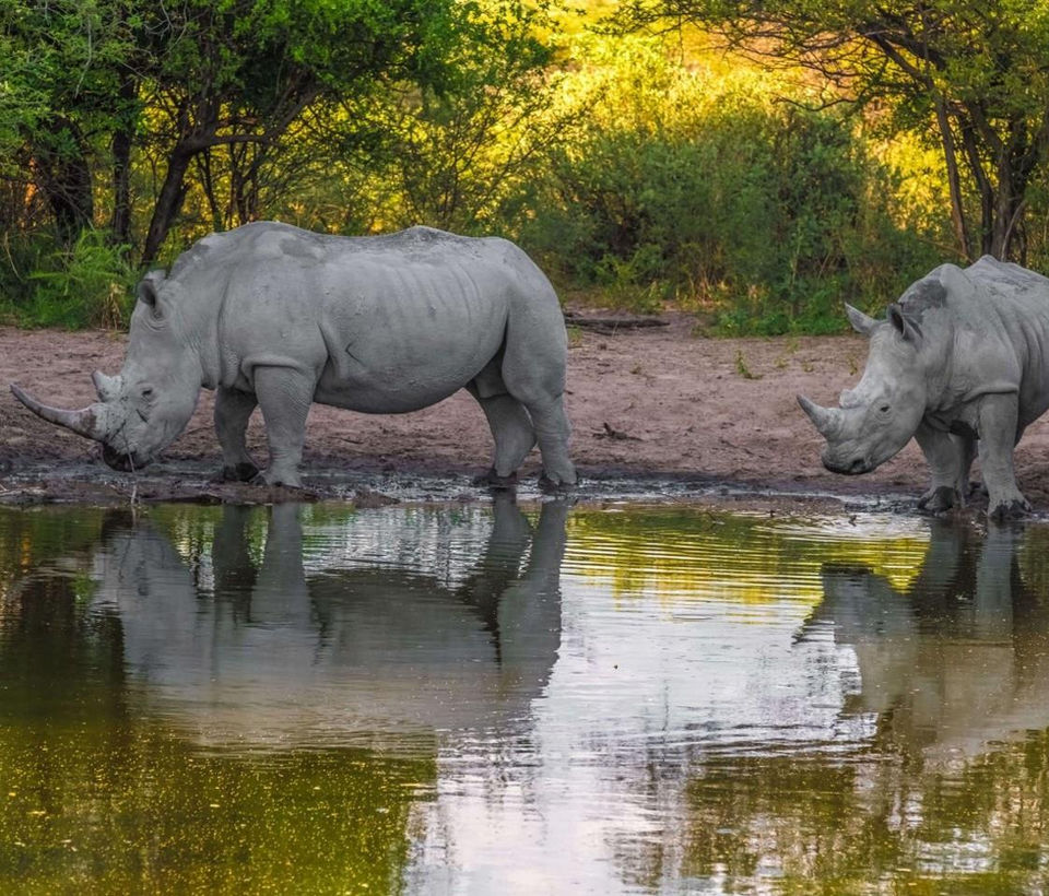 Khama Rhino Sanctuary