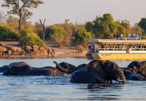 Chobe National Park
