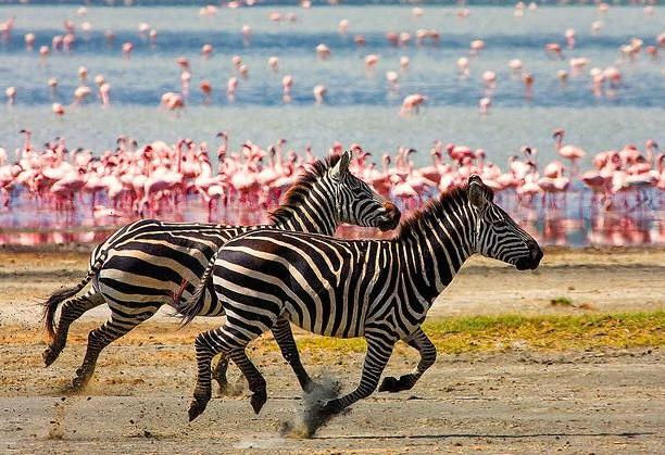LAKE NAKURU NATIONAL PARK