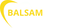 Balsam-Dental-logo.png.webp
