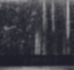 img14.jpg