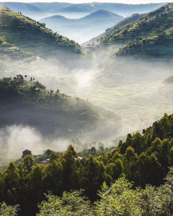Akagera National Park
