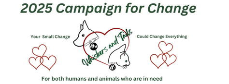 Campaign for Change 2025