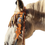 Thumbnail: Headstall, Buck