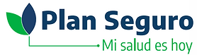 plan seguro.png