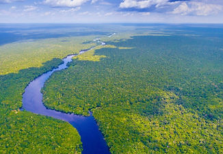 Climate Dispatch.jpeg