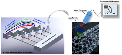 Carbon Nanotubes can Detect a Single Proton