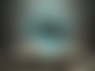 'The Discipline of Imaginology': a critique