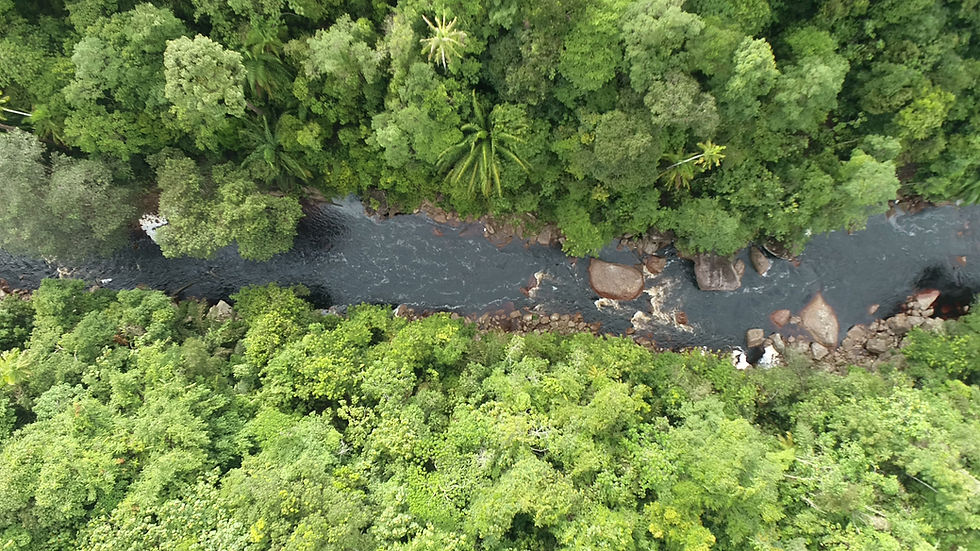 DJI_0858.MOV