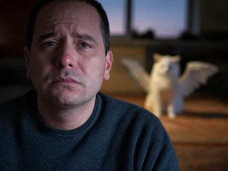 O Luto pela Perda de Animais de Estimação Após a Pandemia: Um Peso Emocional em Crescimento