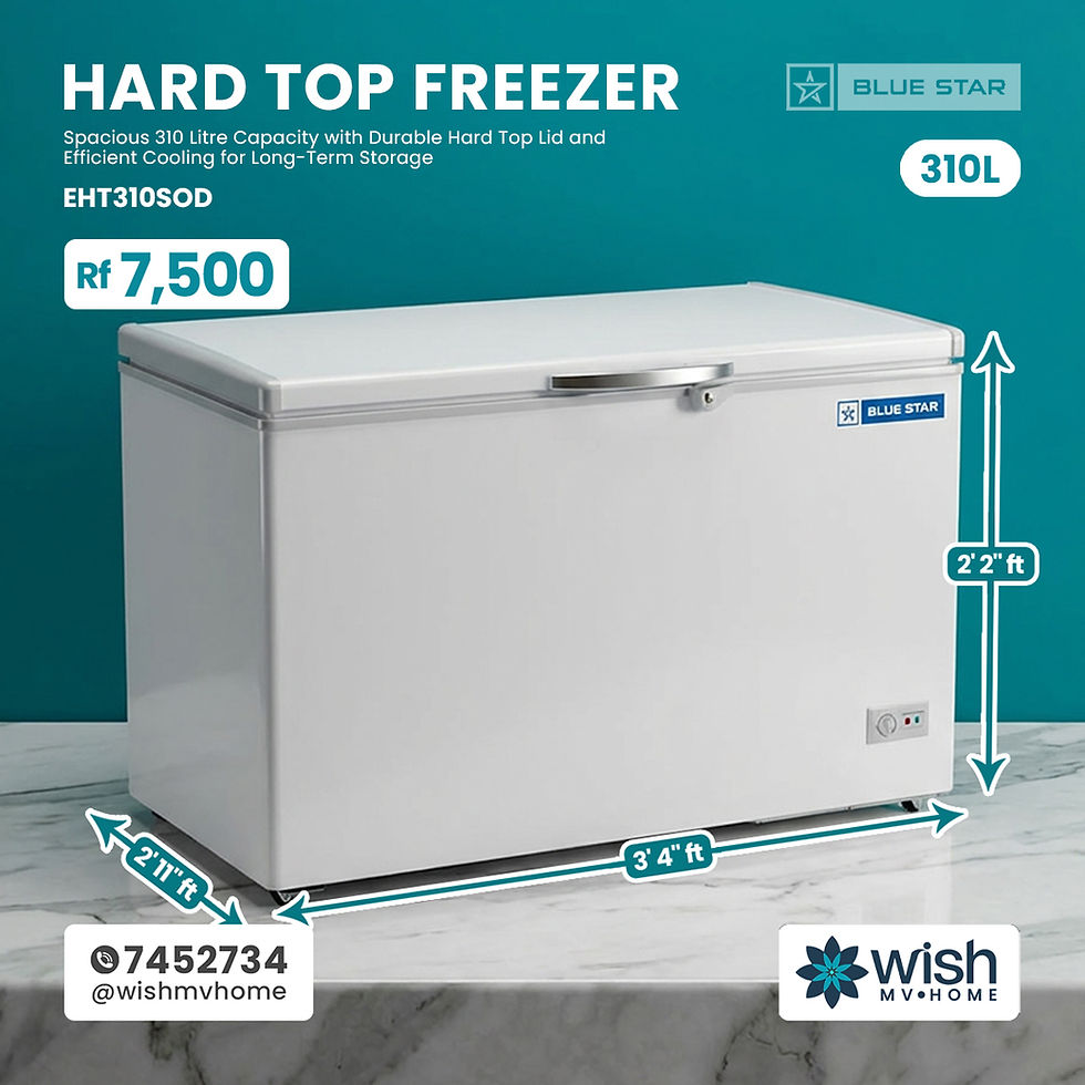 Thumbnail: Blue Star Hard Top Freezer - 310L