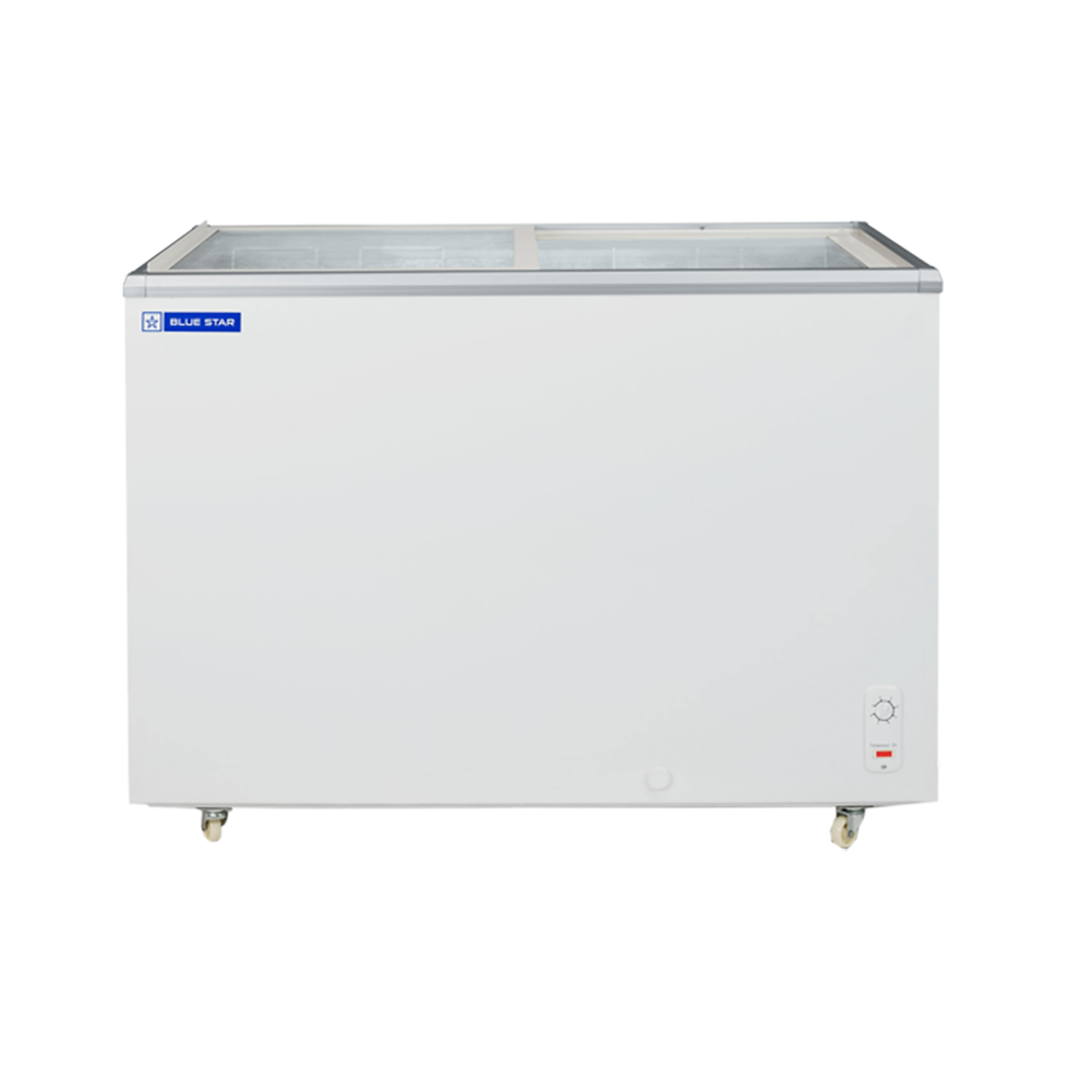 Thumbnail: Blue Star Hard Top Freezer - 310L