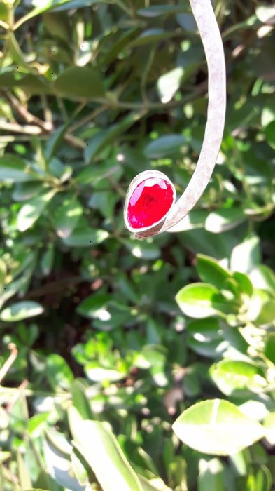 Miniatura: SIR POL PARIS