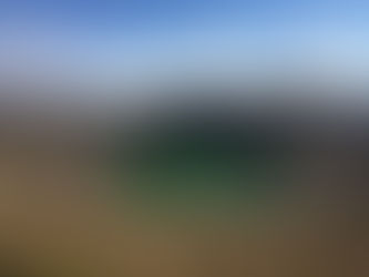 11月のお知らせ