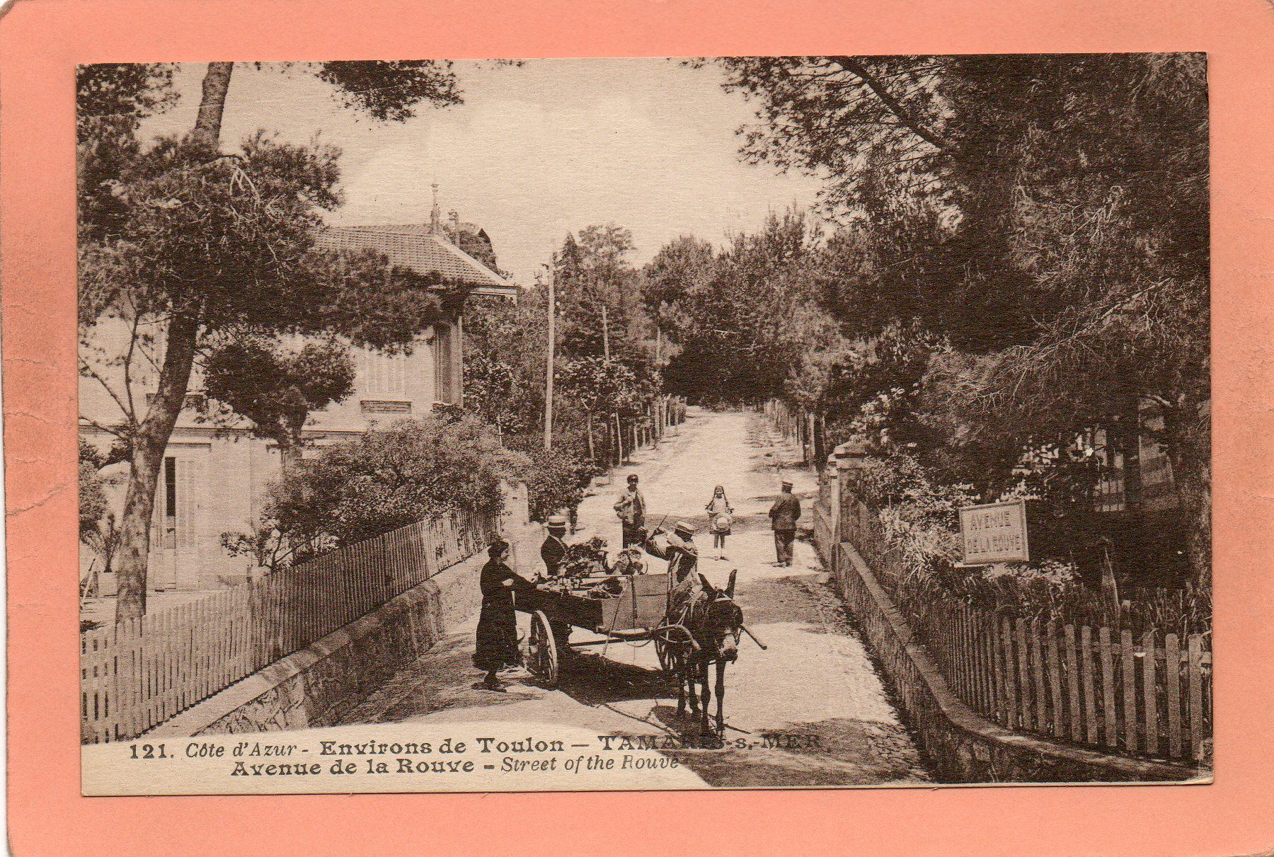 dept 83 - 121 - TAMARIS-SUR-MER - Côte d'Azur - Environs de Toulon - Avenue de l