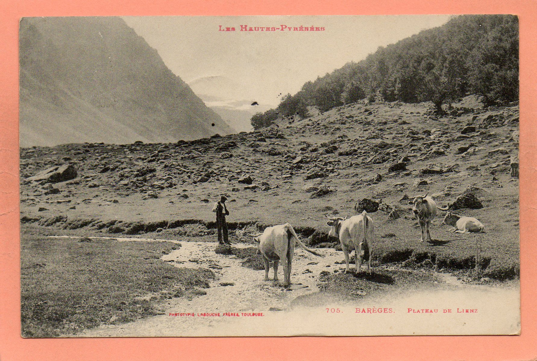 dept 65 - 705 - BAREGES - Les Hautes-Pyrénées - Plateau de Lienz