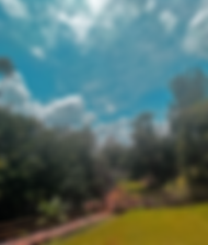 Kiyovu - for website - 61 of 111.png
