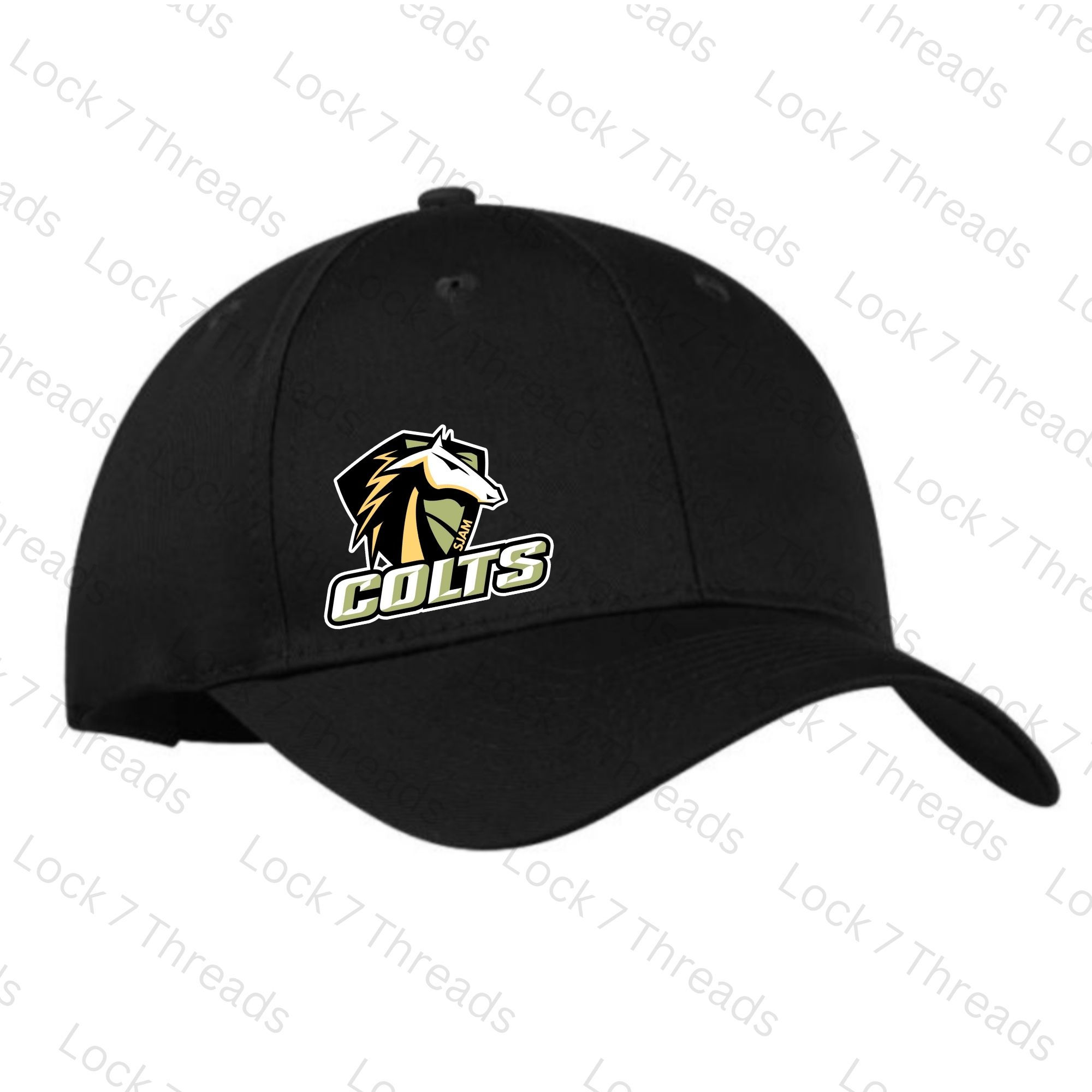 SJAM Baseball Hat (Direct-To-Film Transfer)