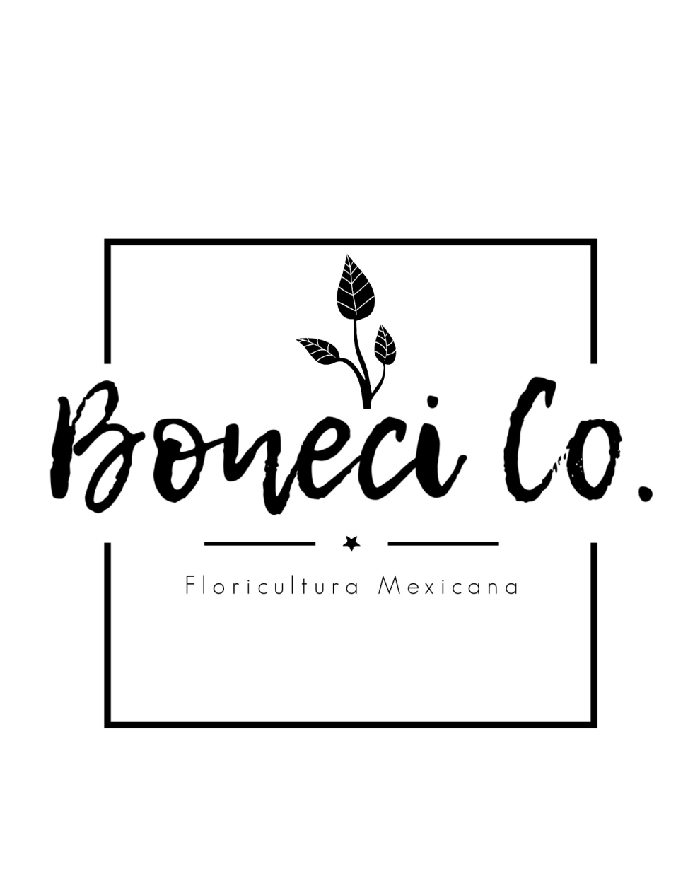1BoneciCo.Bco_19012020.gif