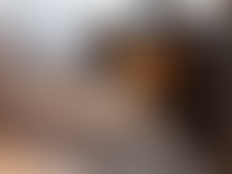 7 Tips to Keeping your oven clean between cleans