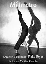 Flakorojas.Milímetro (2006).jpg