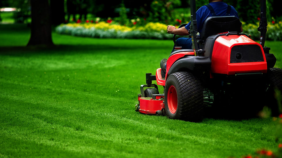 Professional lawn and landscape maintenance in Port Charlotte, Florida
