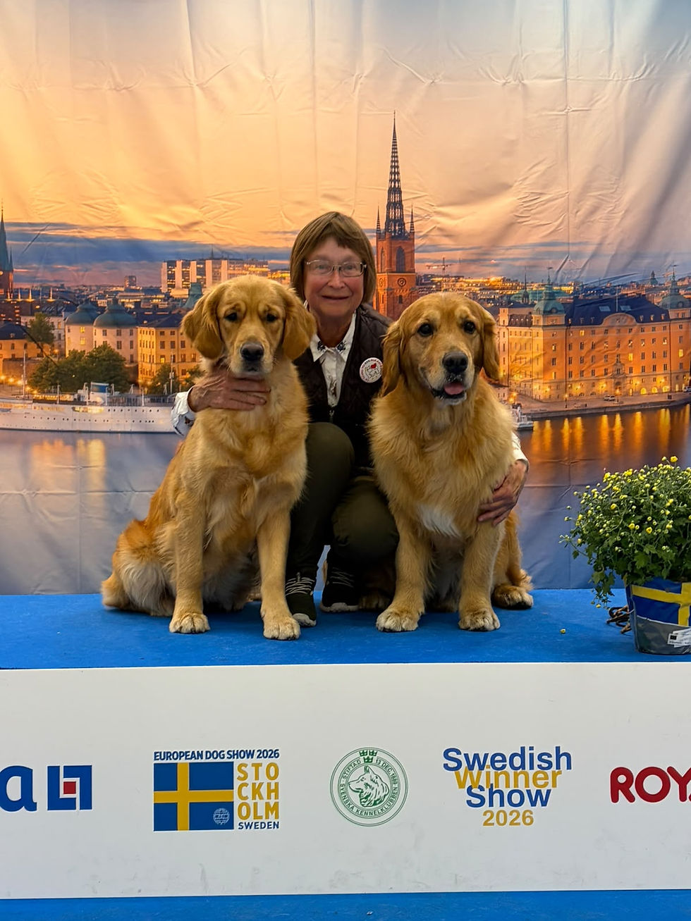 European Dog Show i Stockholm