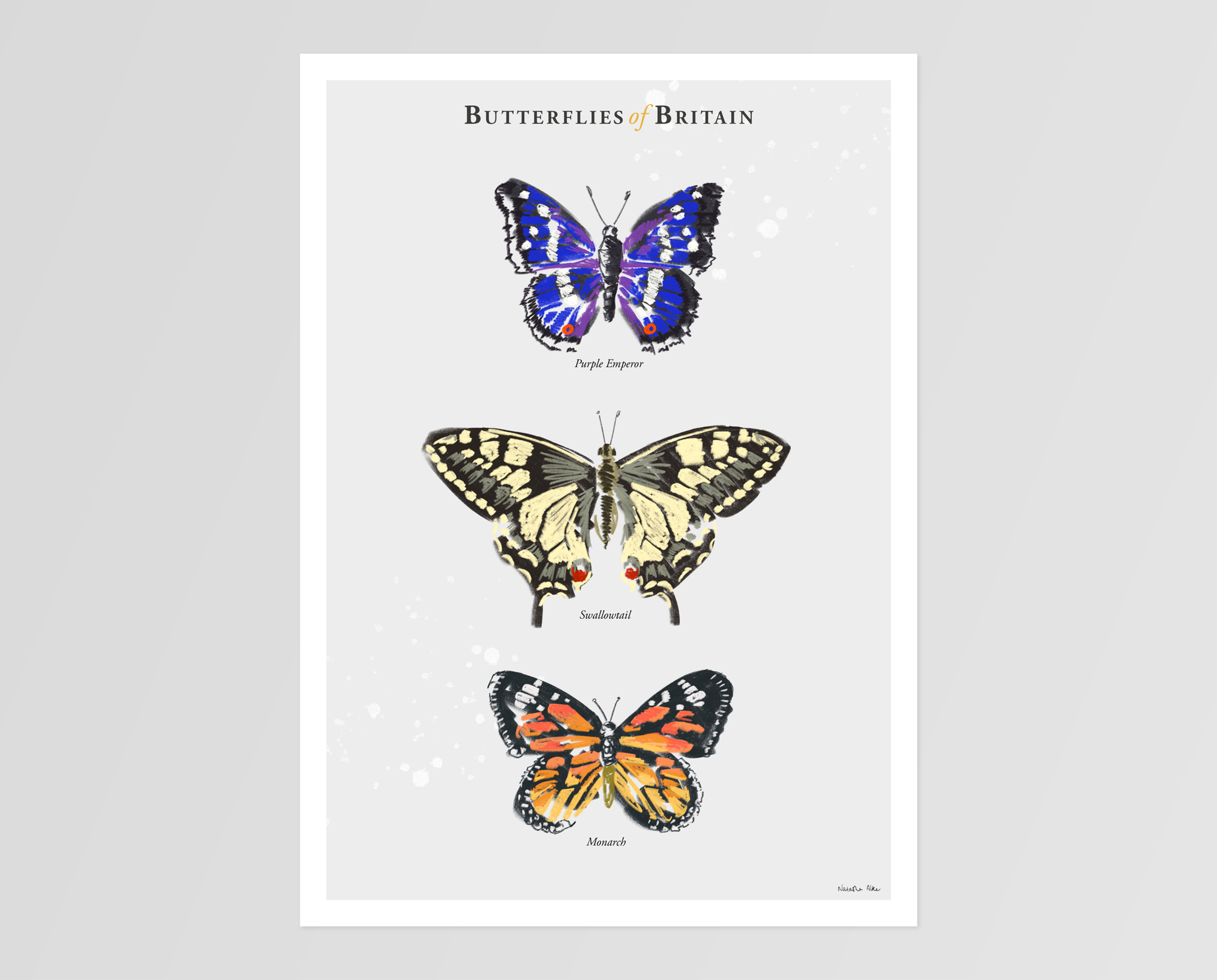 Butterflies of Britain: Purple Emperor Trio Art Print