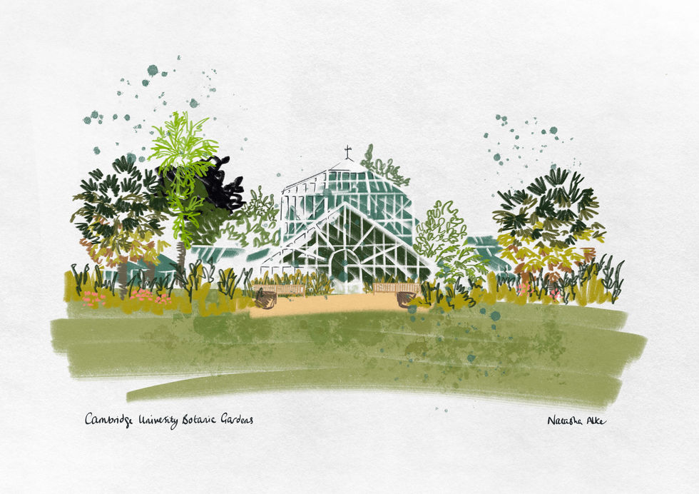 Cambridge University Botanic Gardens Glasshouse