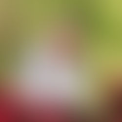 Maria Salette Suzin Parizotto